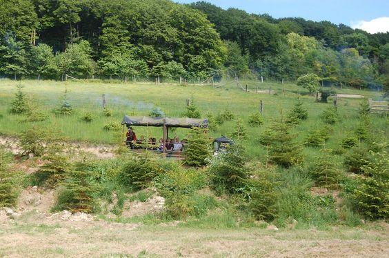 DSC_0035 [50%] [50%].JPG